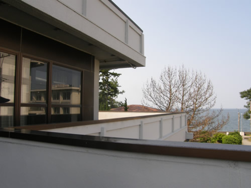 �o���R�j�[����